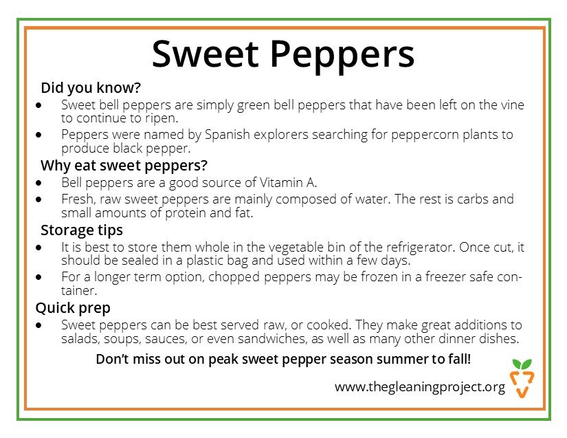 Sweet Pepper Information.jpg