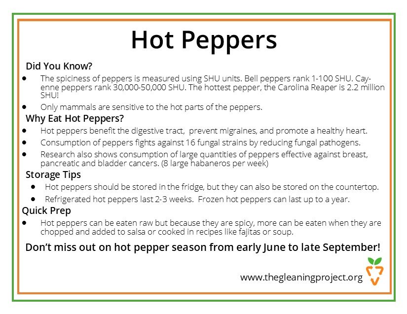 Hot Pepper Information.jpg