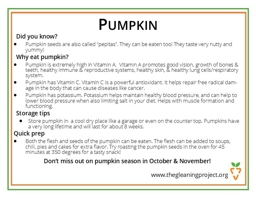 Pumpkin Information.jpg