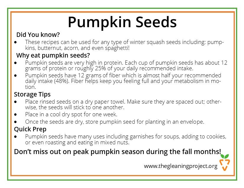 Pumpkin Seed Information.jpg