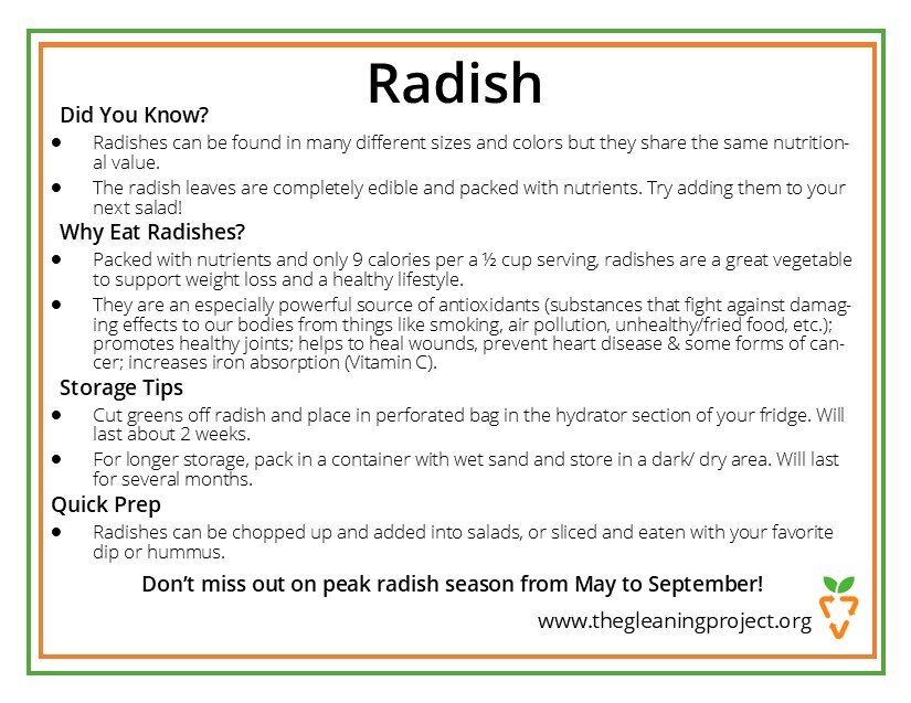 Radish Information.jpg