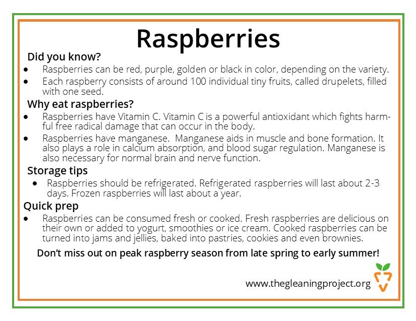 Raspberry Information.jpg