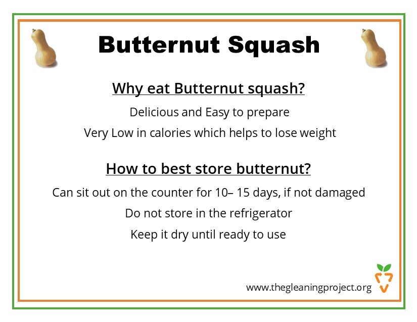 Butternut Squash Information.jpg