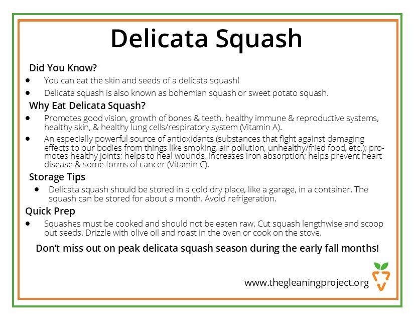 Delicata Squash Information.jpg