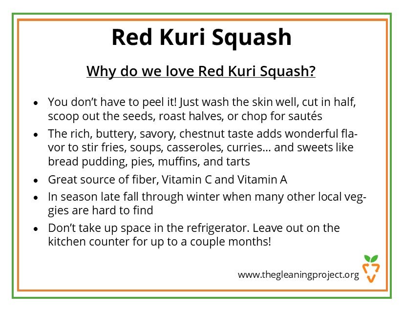 Red Kuri Squash Information.jpg