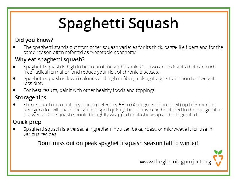 Spaghetti Squash Information.jpg