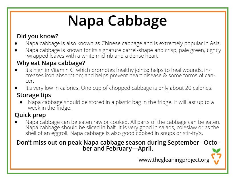 Napa Cabbage Information.jpg