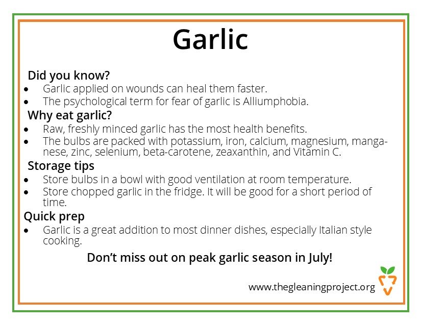 Garlic Information.jpg