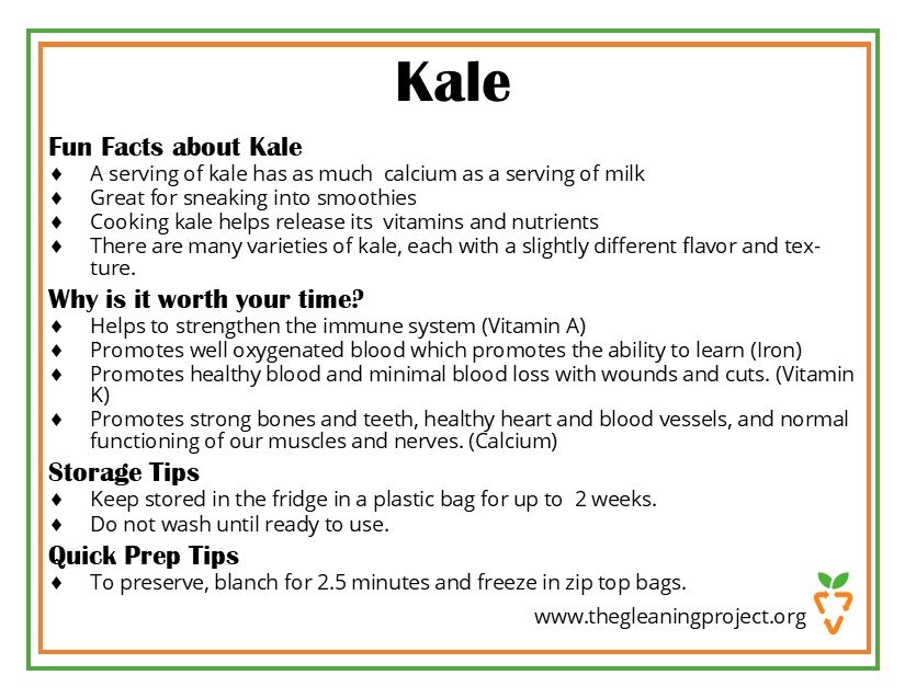 Kale Information.jpg