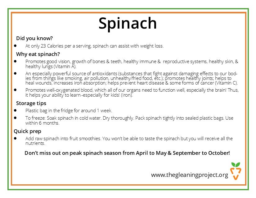 Spinach Information.jpg