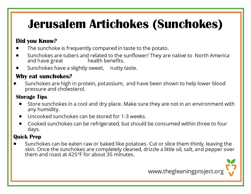 Jerusalem Artichokes (Sunchokes) Information.jpg