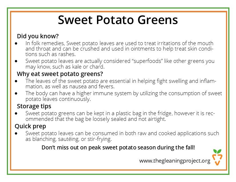Sweet Potato Greens Information.jpg