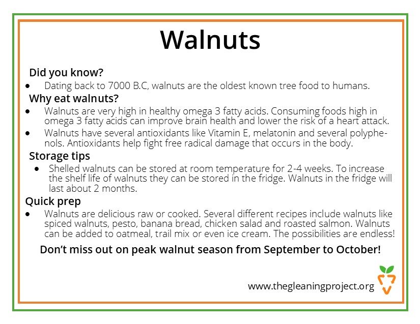 Walnut Information.jpg
