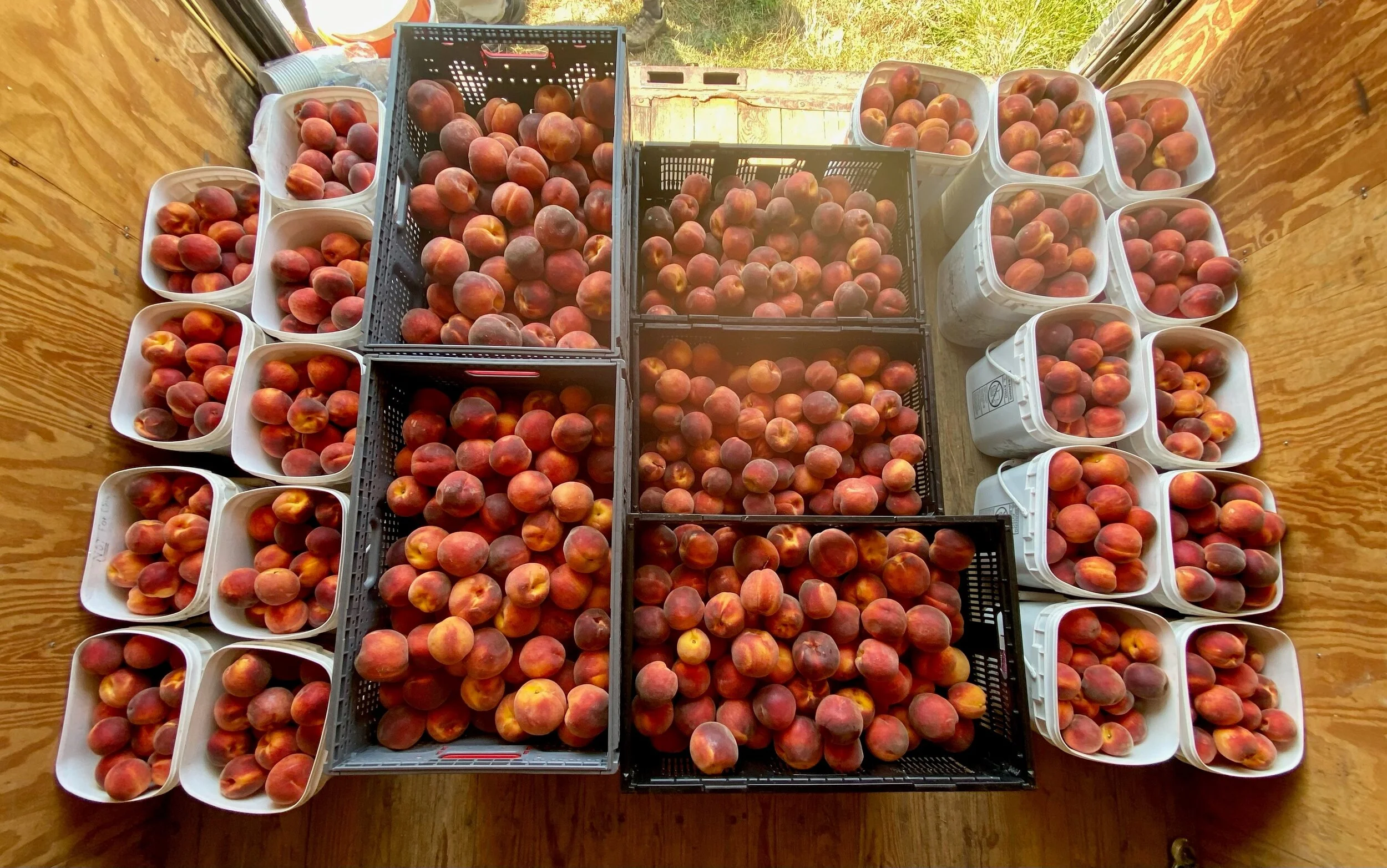 box truck peaches.jpg
