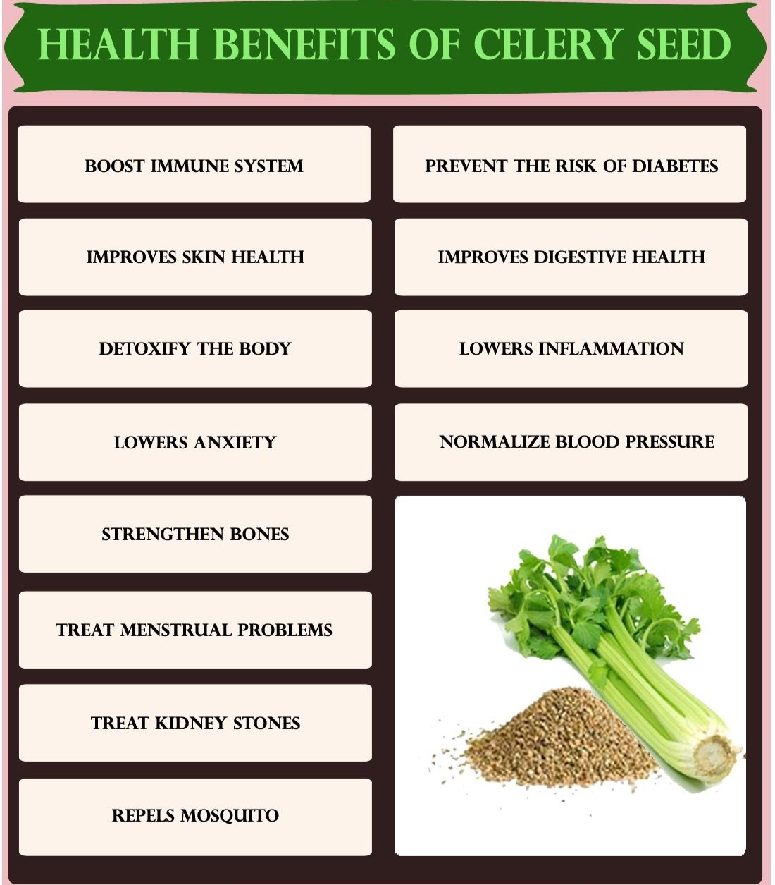 1717551913Health-Benefits-of-Celery-S.jpg