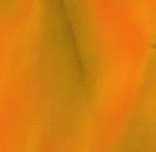 Mandarin
