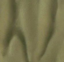 Palm