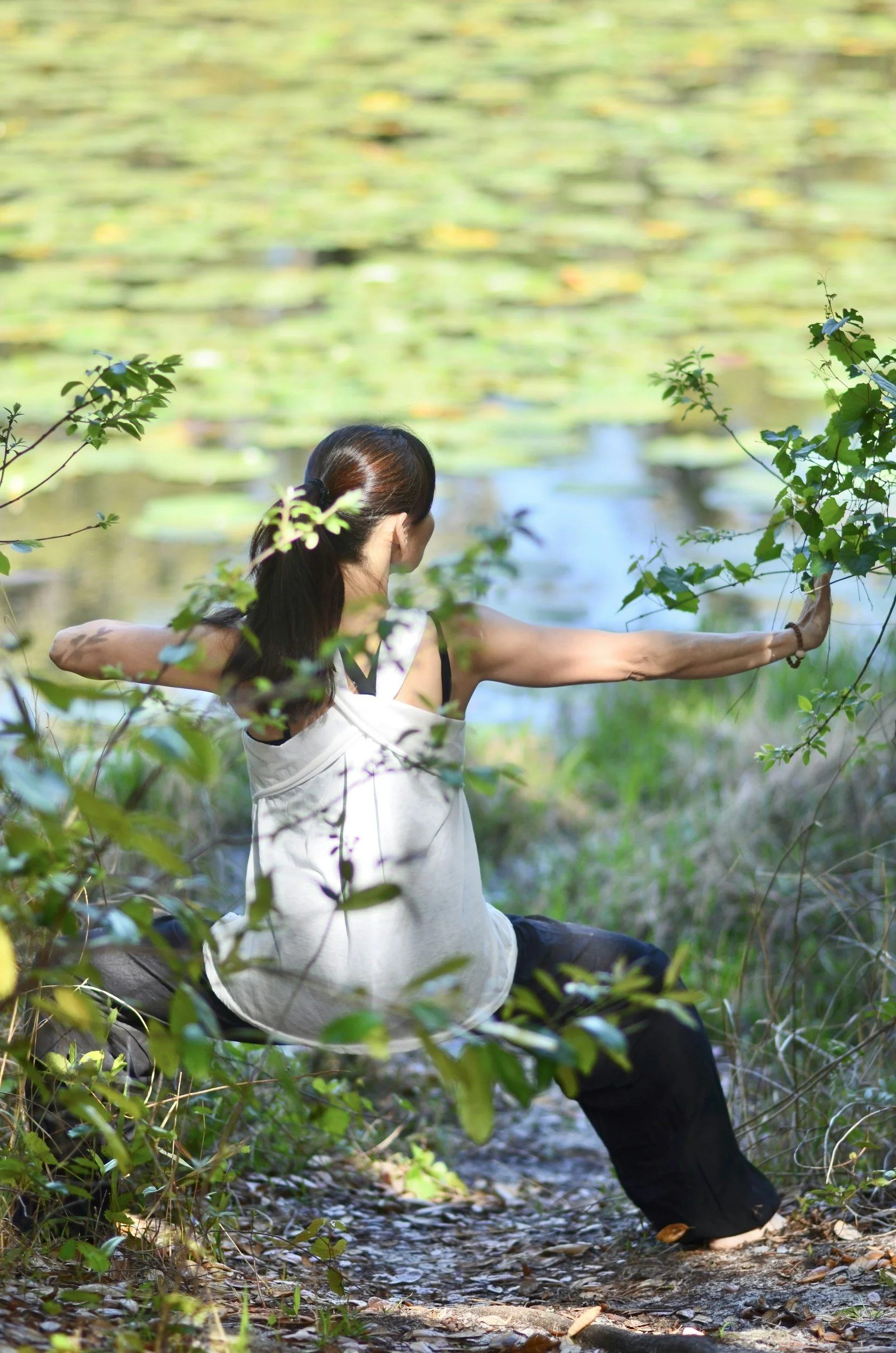 New: Spring Qigong 4-week Course Hampshire