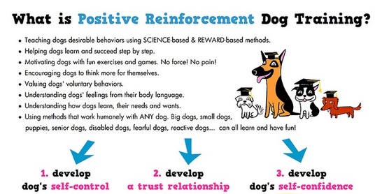 Waden Haven Zullen Positive Reinforcement — Dogspeak
