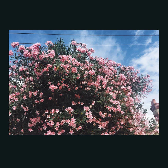 Review: Drag It Down on You by Ceres