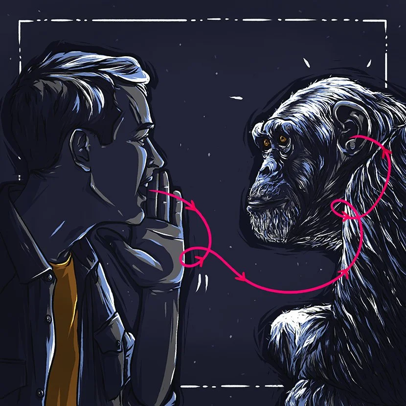 chimp_01_a.jpg