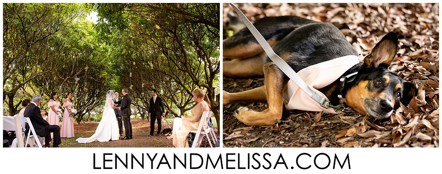 Hacienda Los Robles Wedding
