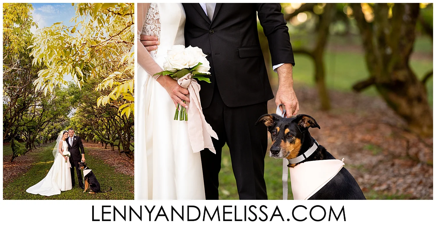 Hacienda Los Robles Wedding