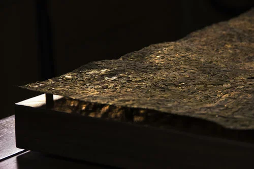 Detail, Muralis Sutura, Brass