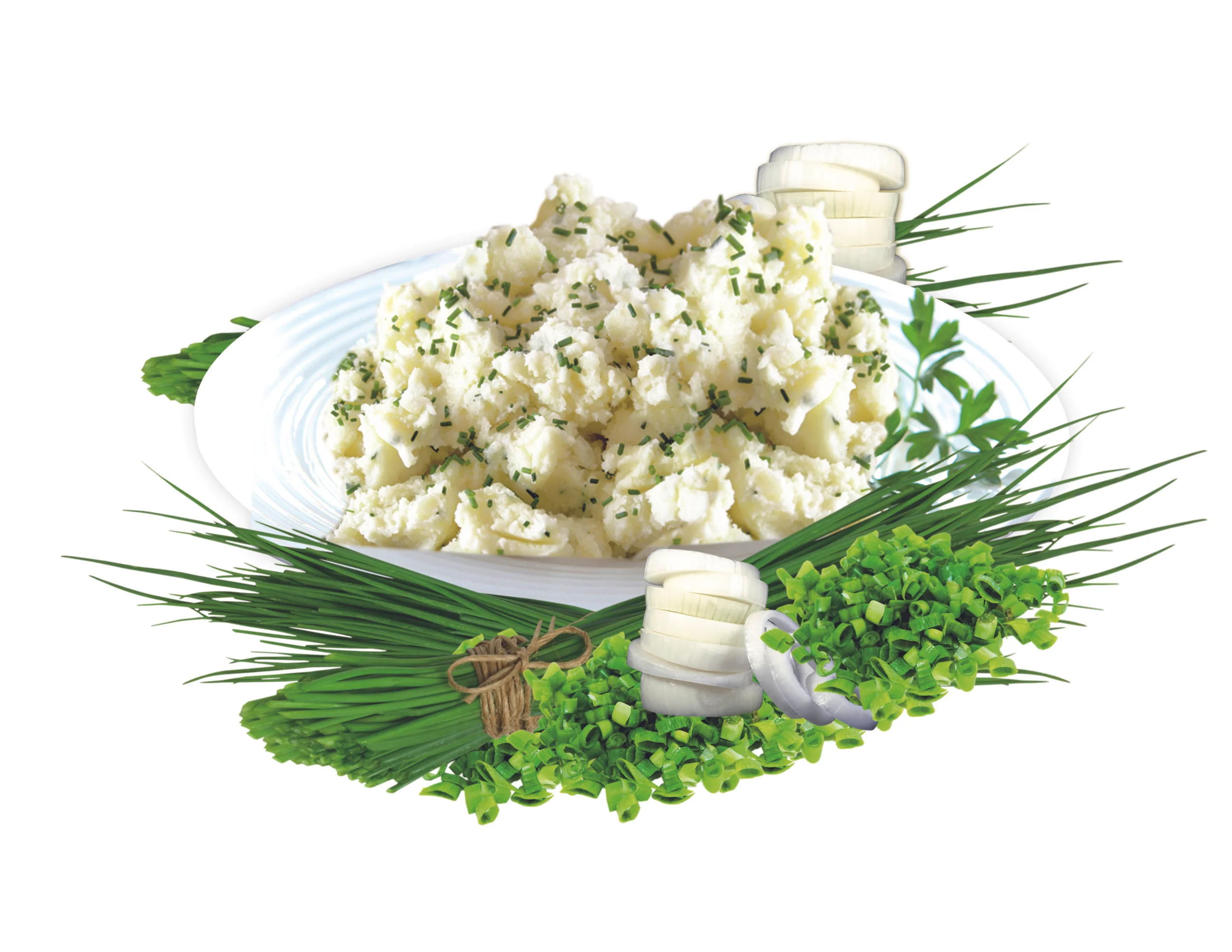 Potato Puree (mashed style) 