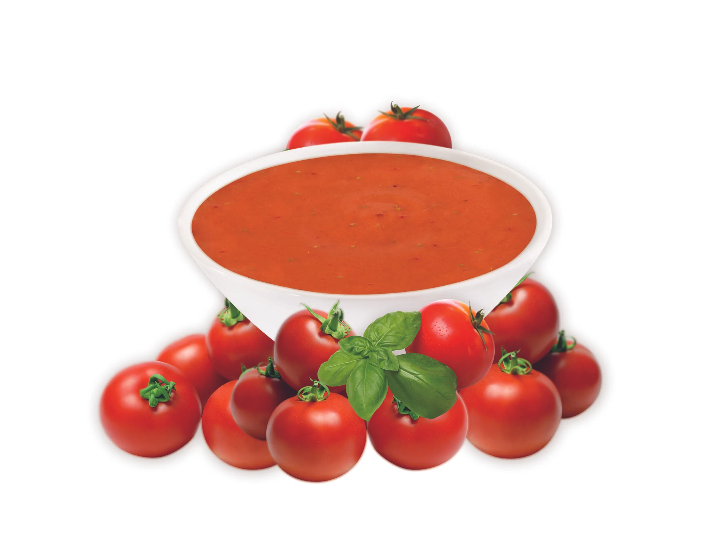 Tomato & Basil Soup 