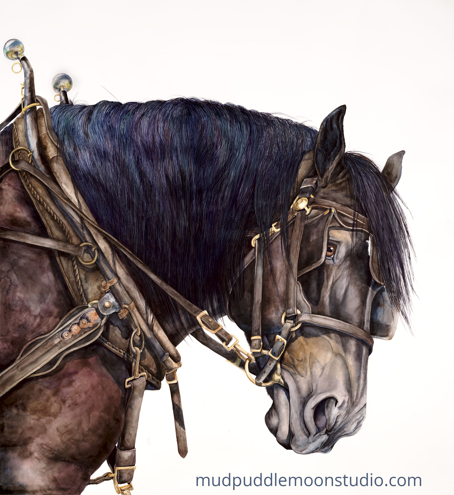 goliath 72dpi 1980px url.jpg