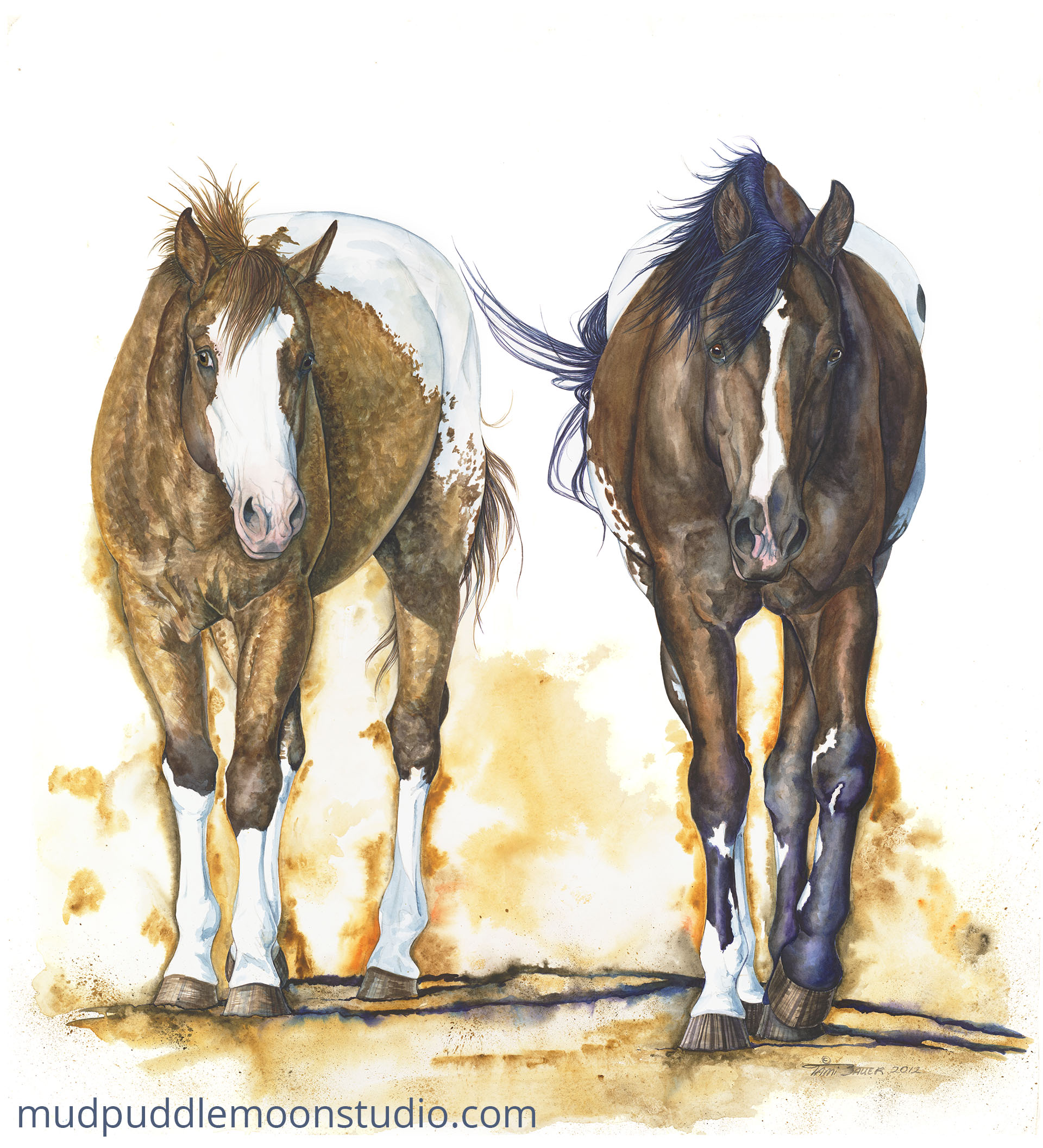 Appaloosa Duo