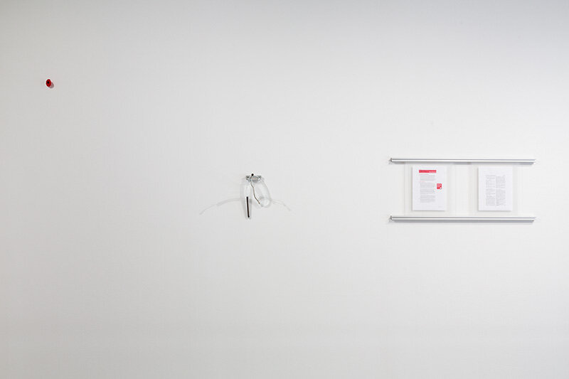  Aden Solway,  Colombo , 2018. Opium poppy ( Papaver somniferum,  juvenile), aluminium sheeting, aluminum conduit, steel, extruded glass, saline solution, Canadian Legion memorial poppy, poppy seeds, inkjet prints. 