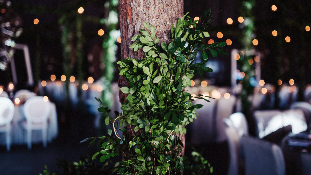 Christian Garcia Wedding Photographer