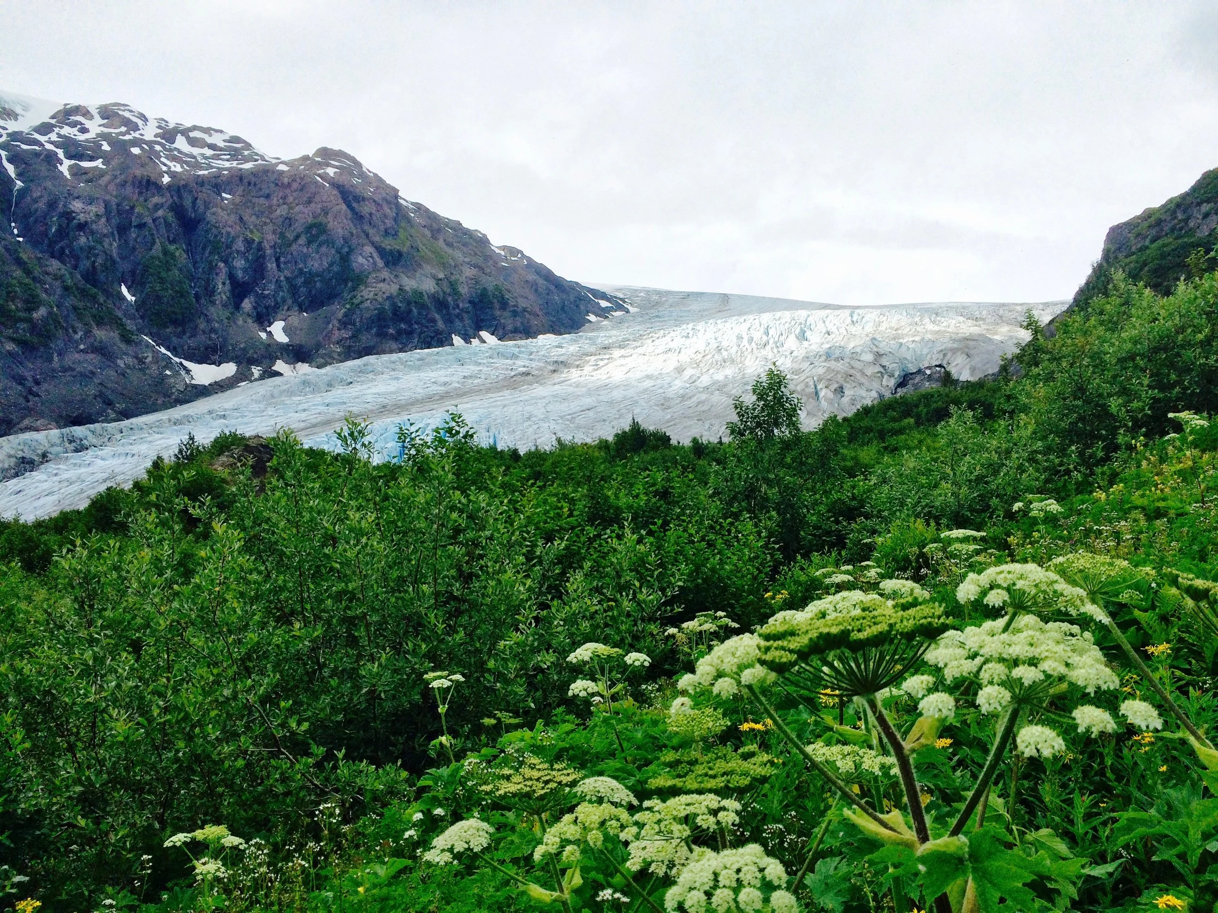 We hiked more than a mile past a marker indicating the toe (or end) of the glacier in 1917. I took this photo of what remains of Exit glacier in Kenai Fjords National Park in Alaska in 2014. Check out this article to learn more.