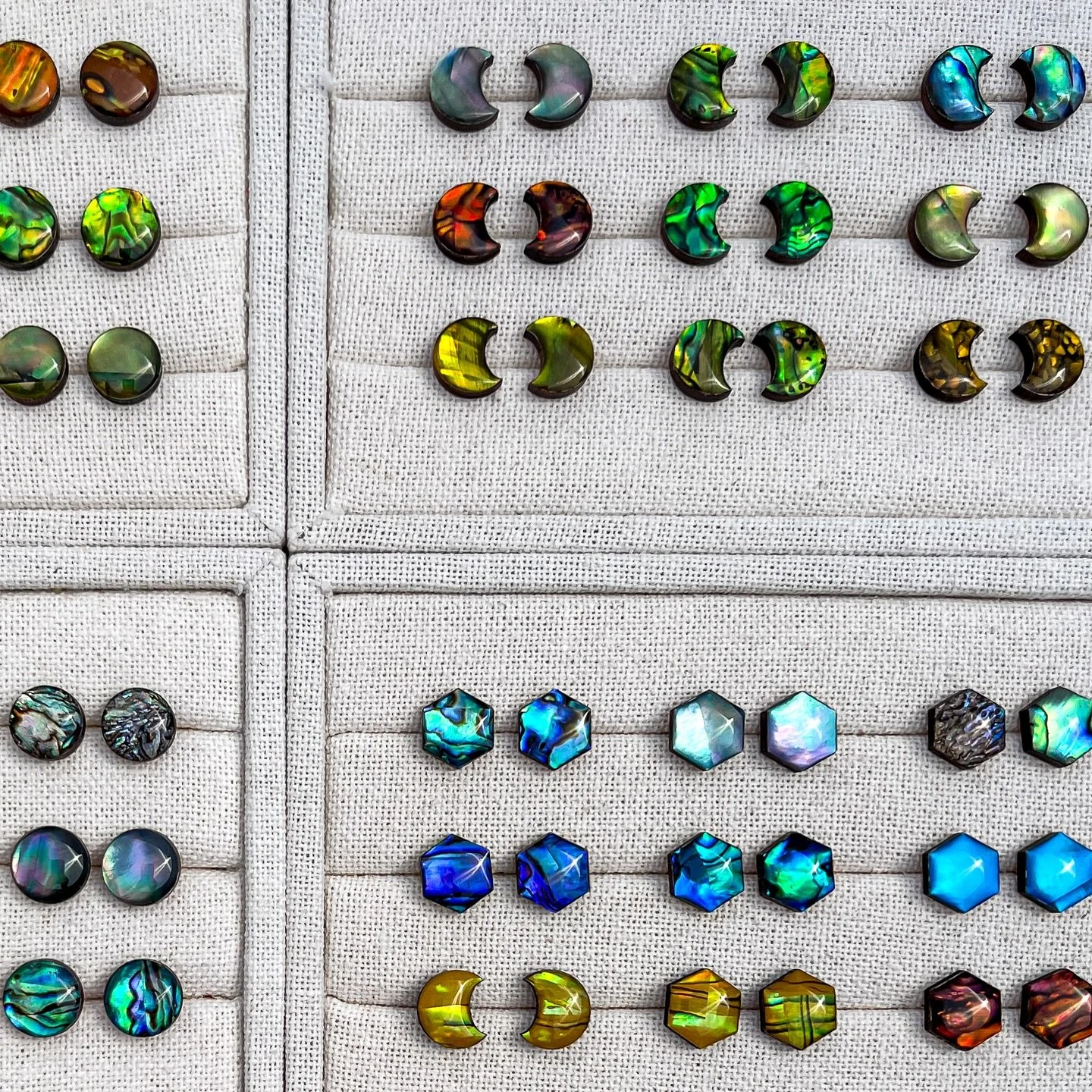 Abalone shell in all the pretty colors 😍
