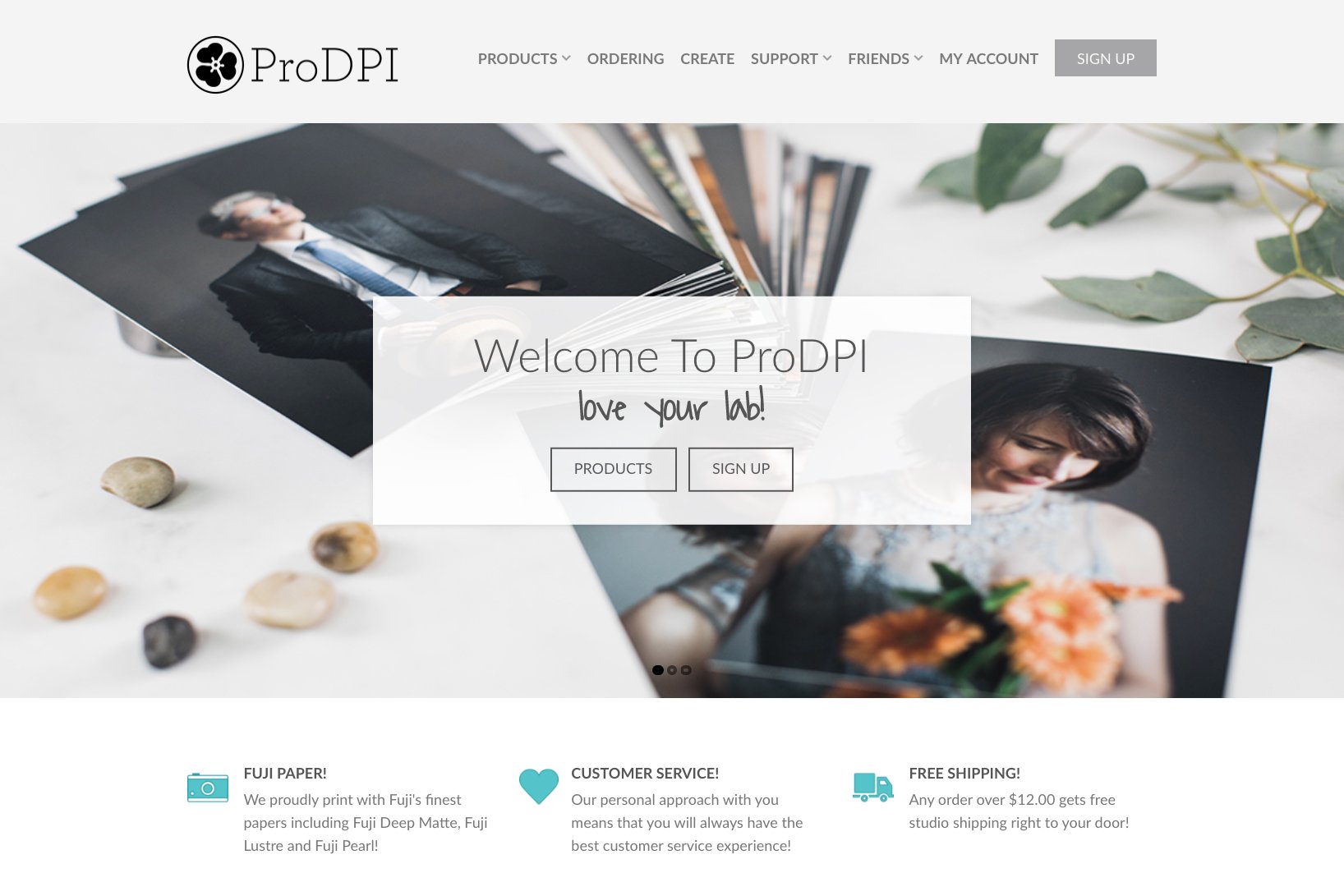 ProDPI_ROES_Home_Page_Design.jpg
