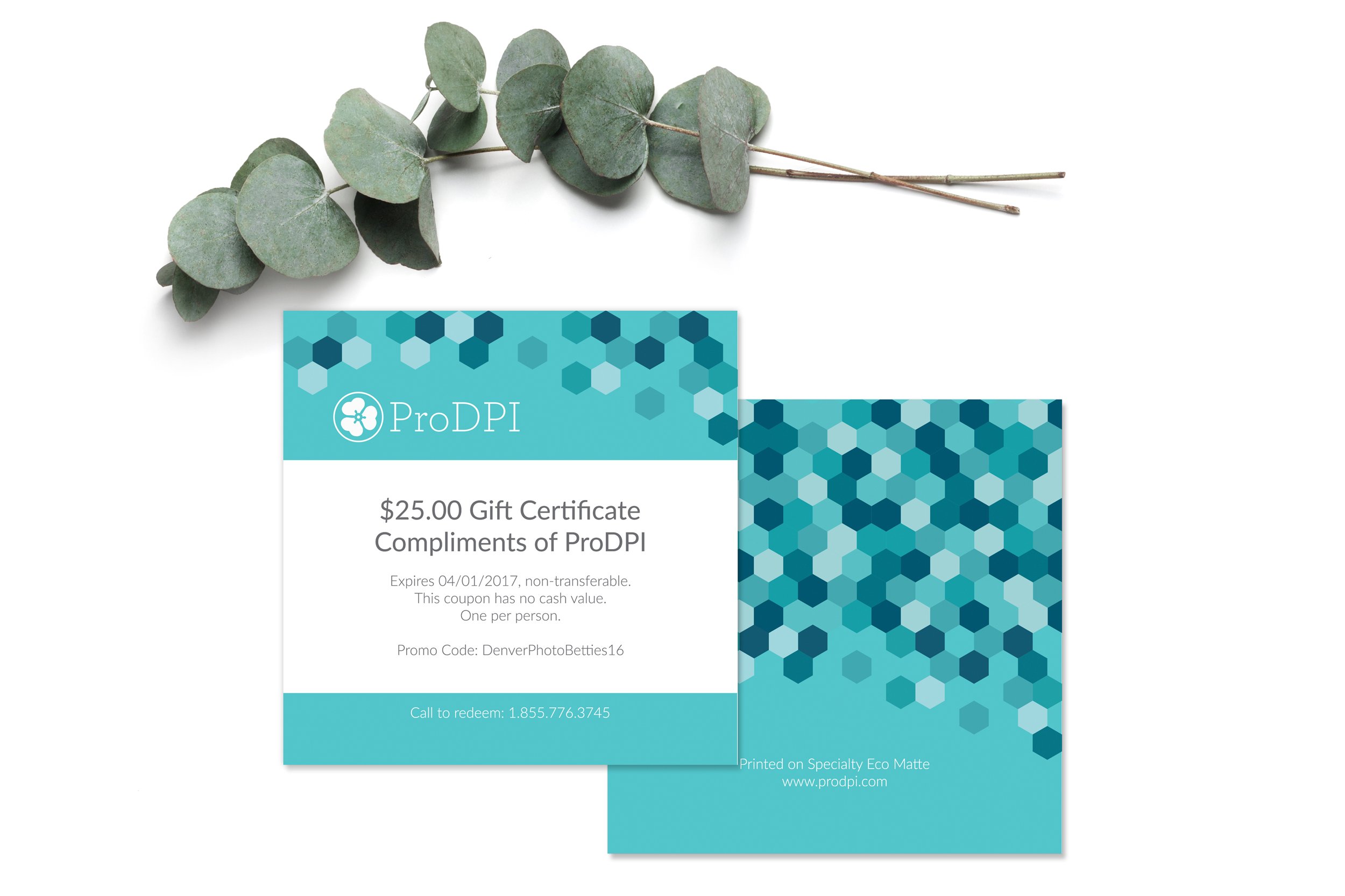 ProDPI_Gift_Certificate_Print_Marketing_Design.jpg