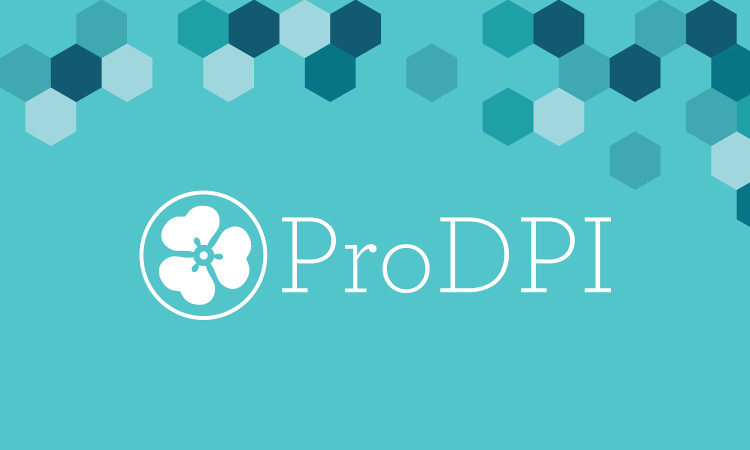 ProDPI_Brand_Design.jpg