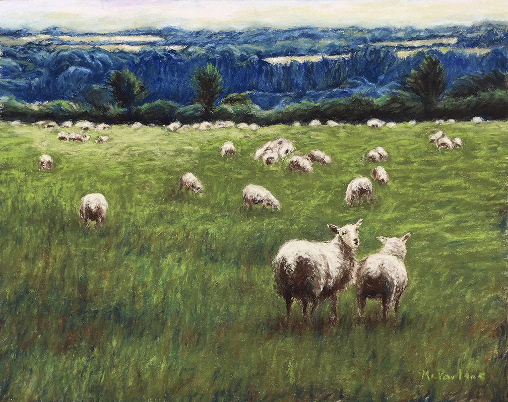 GRAZING SHEEP