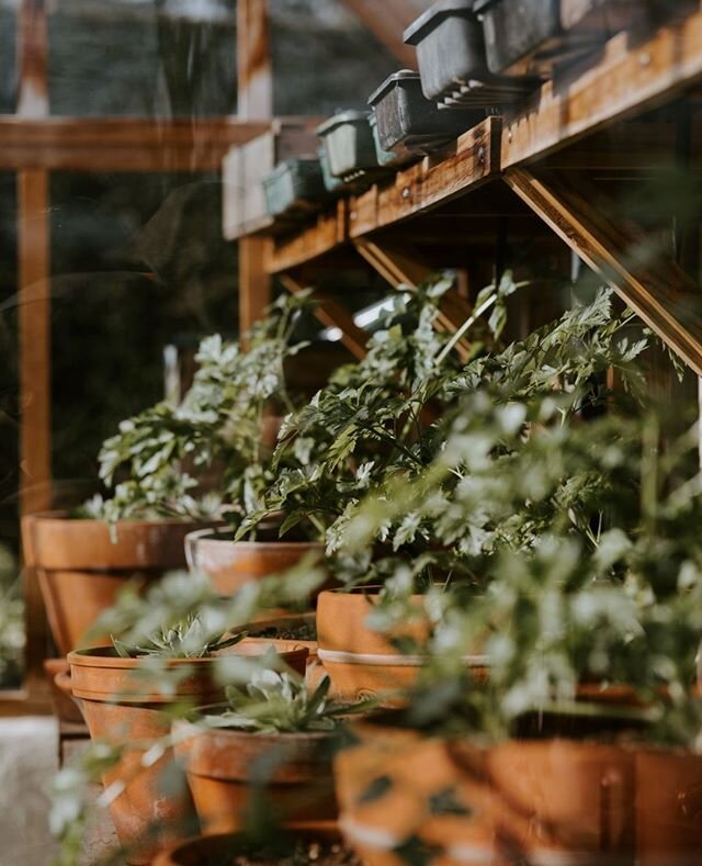 Today's beautiful weather had me gettin my hands in the soil and prepping my balcony garden 🌱⁠
⁠
Hoping to plant all kinds of culinary herbs and flowers this year and maybe it will look somewhere close to this dreamy picture by @anniespratt 😍⁠
⁠
⁠
