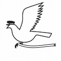 Pigeon 120x120.gif