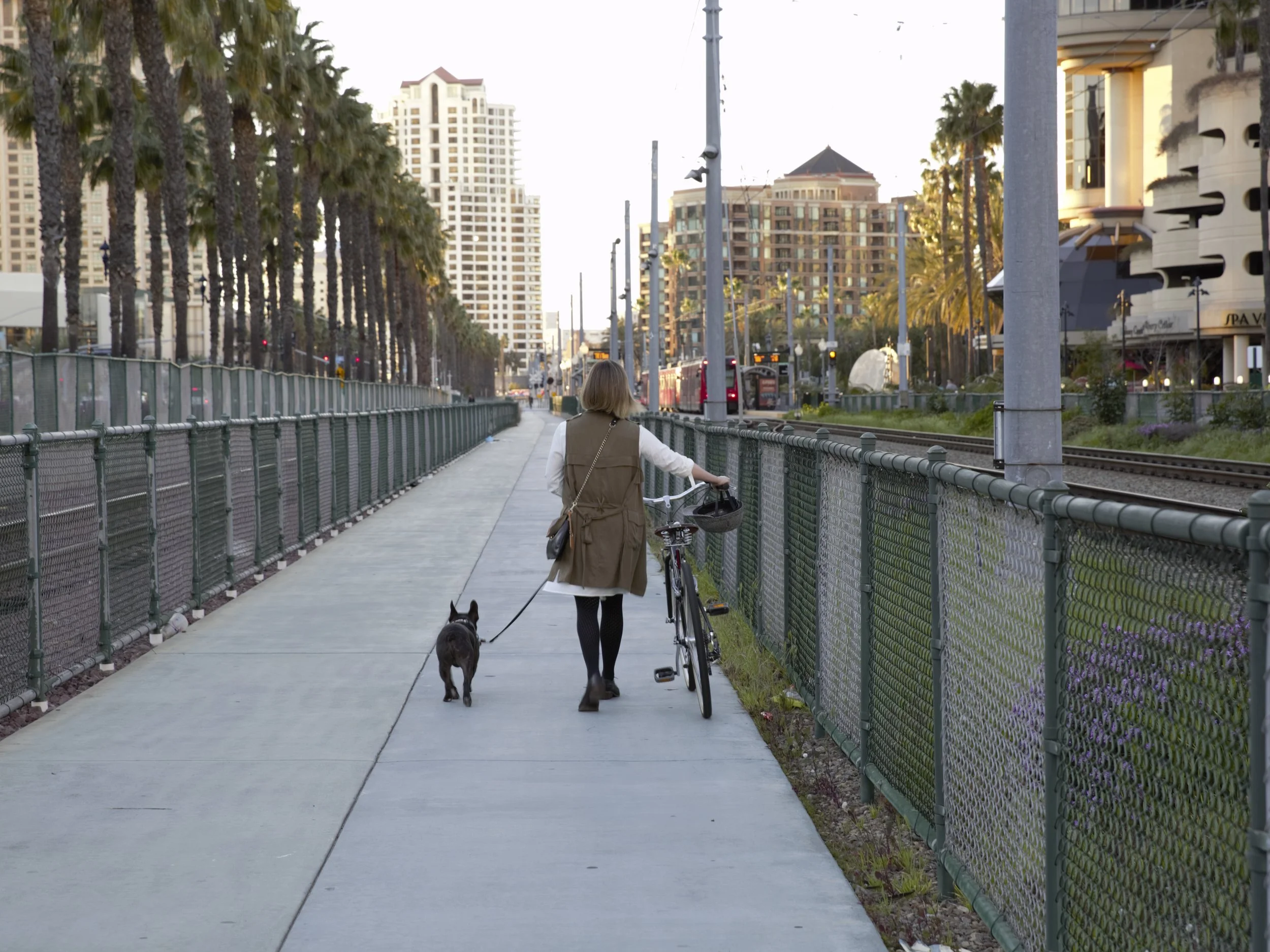 Blog_TravelingWithYourPup.jpg