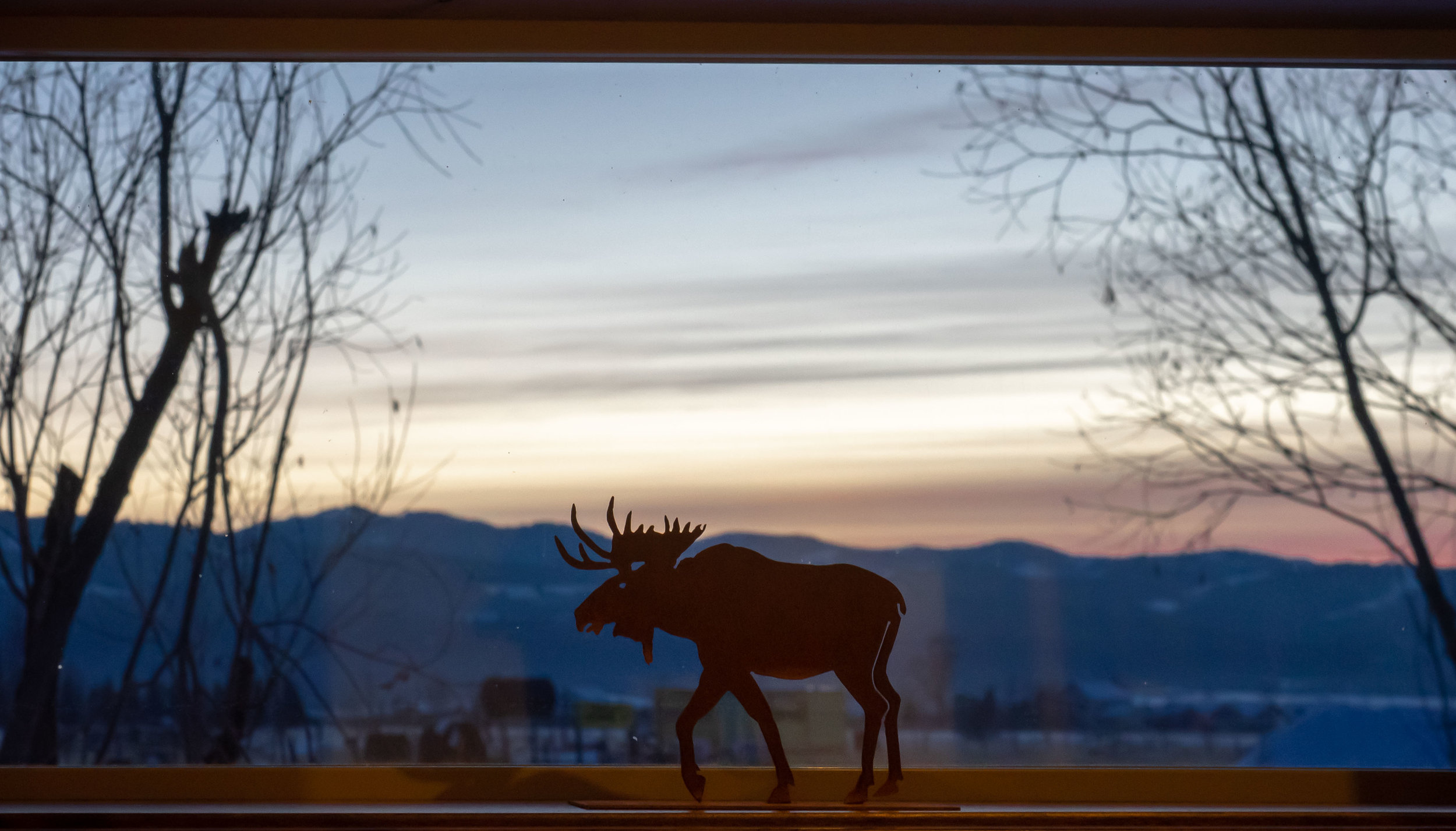 ttvr_view_from_cabin.jpg