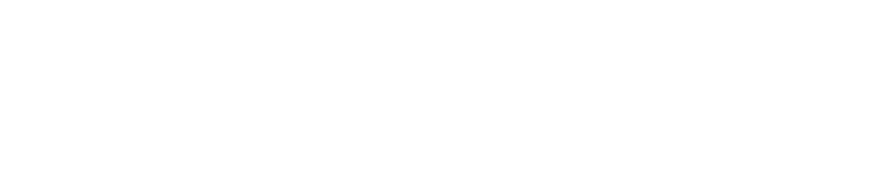 Diono-Catalyst-PDG.png