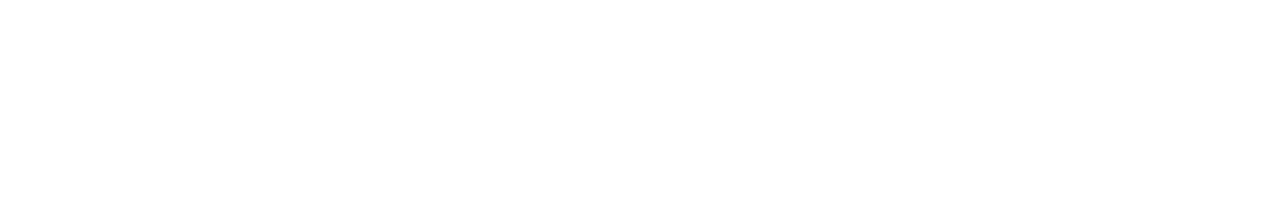 Mesh-Systems-Catalyst-PDG.png