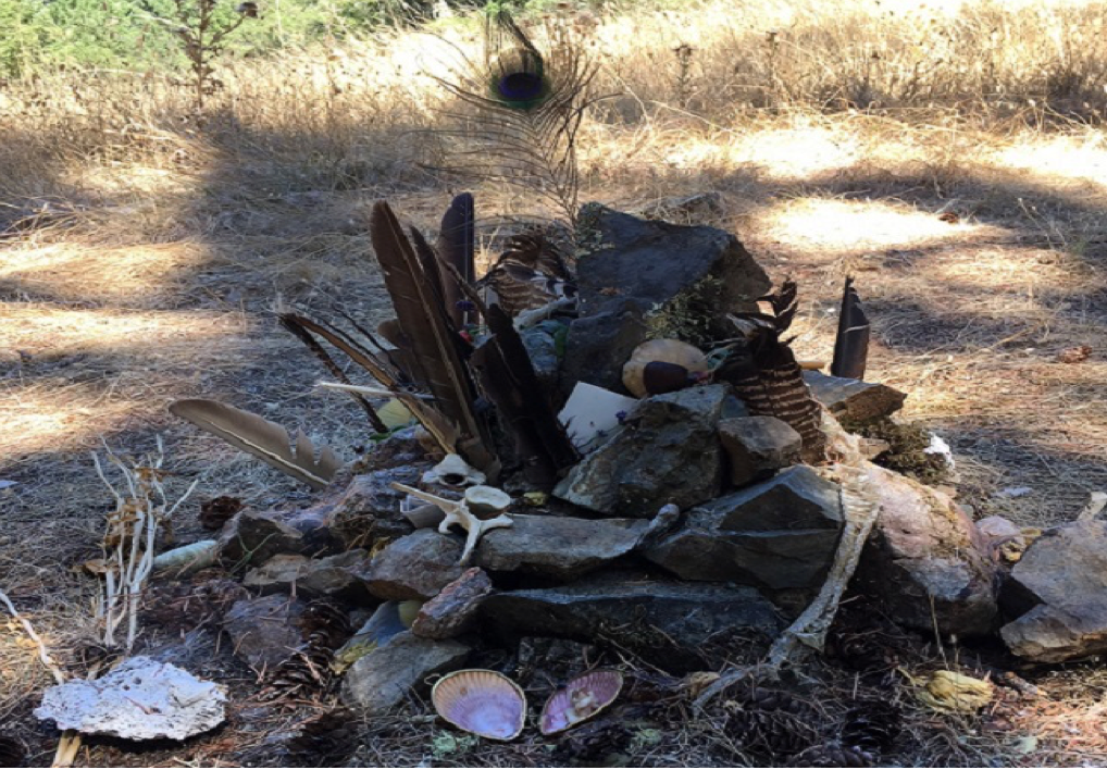 Sacred Journey to Mount Tamalpais