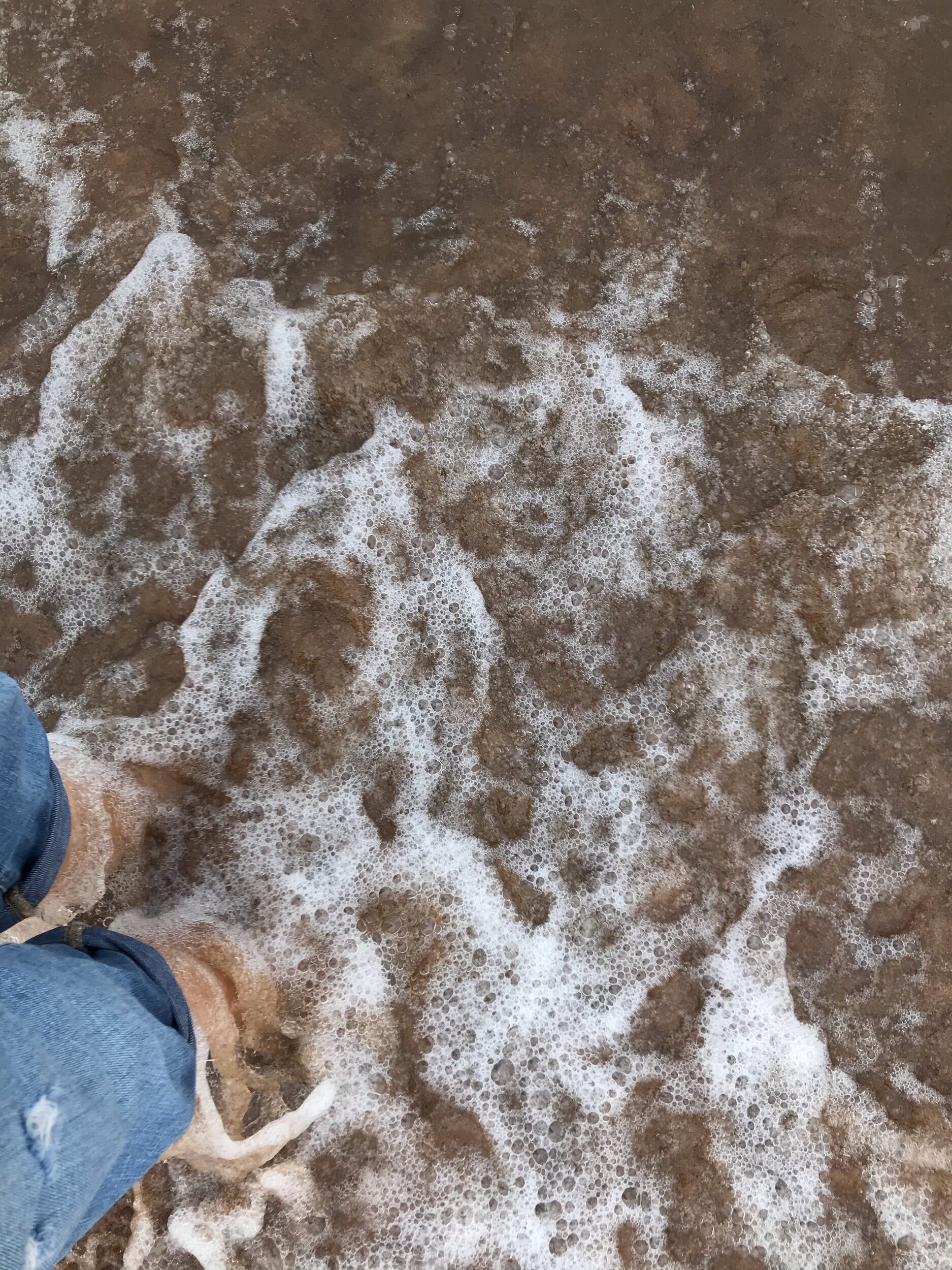 Quarantine Day 30: Beach Play Time 🐬