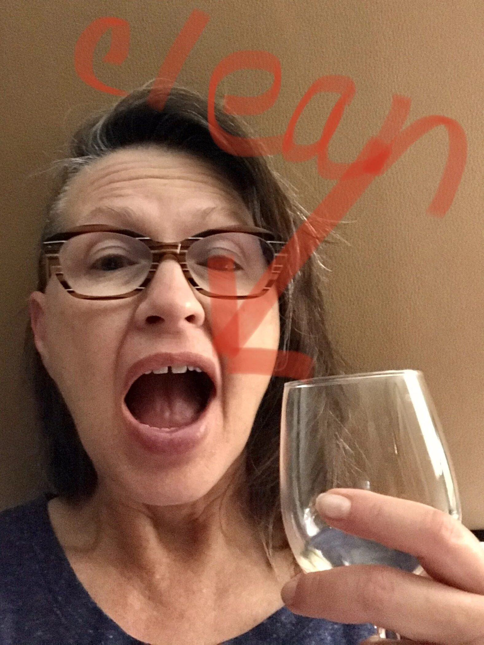 Countdown Day 15: F*#king Potty Mouth