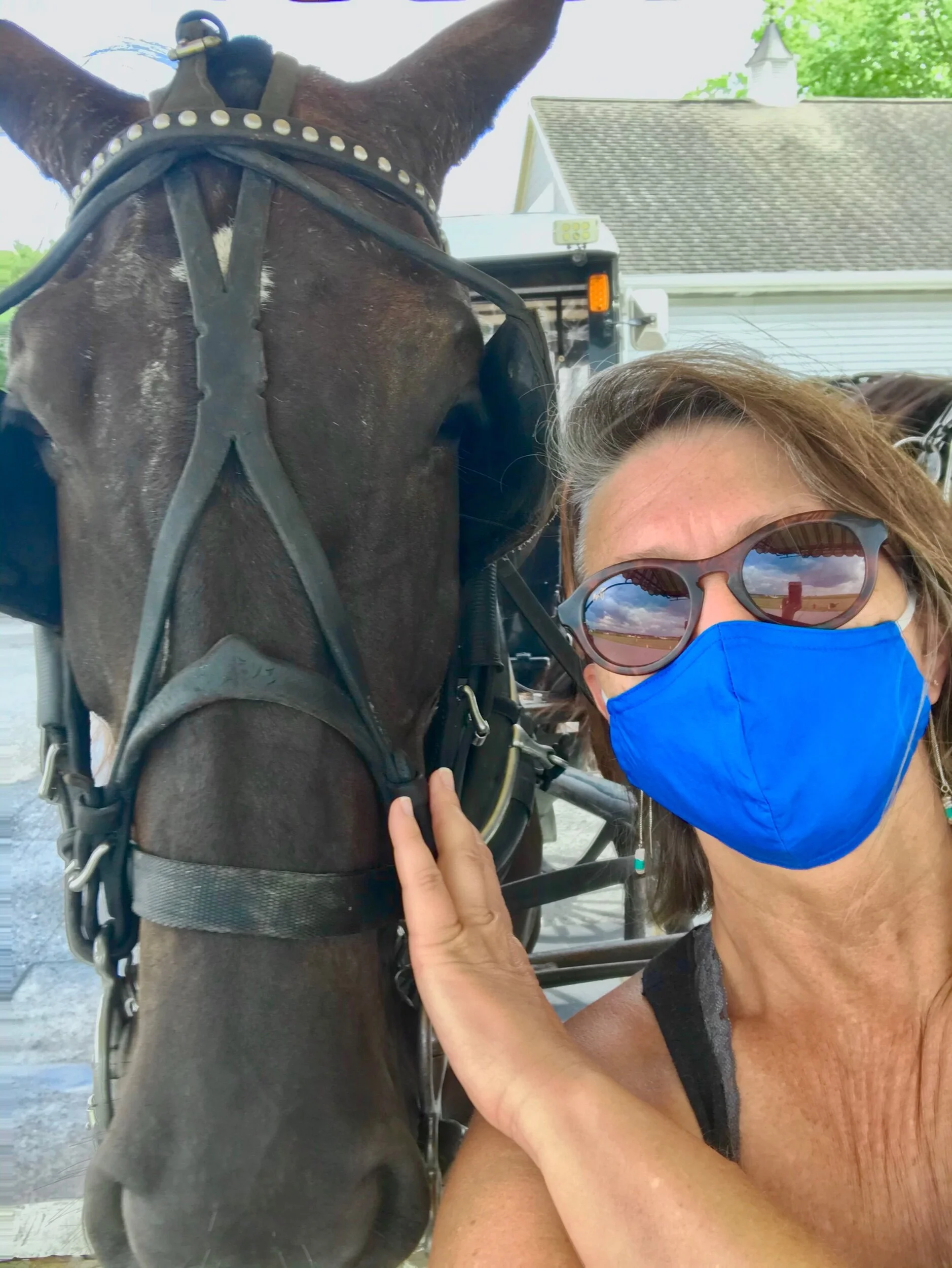 Quarantine Amish Style